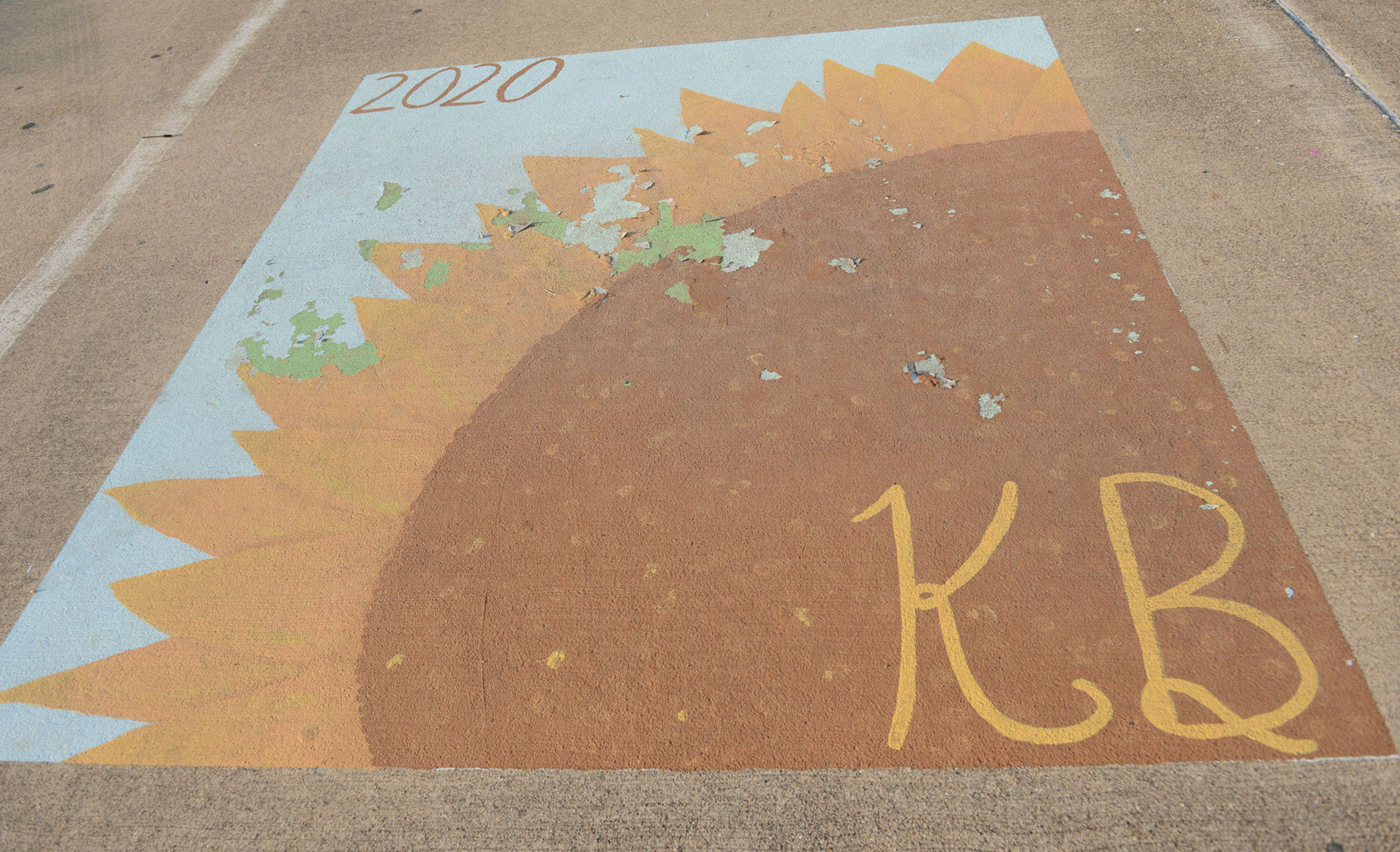 A&M Consolidated HS painted parking spots